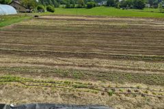 Impressionen-der-SoLaWi-Birkenhof-im-Fruehjahr-2020-6